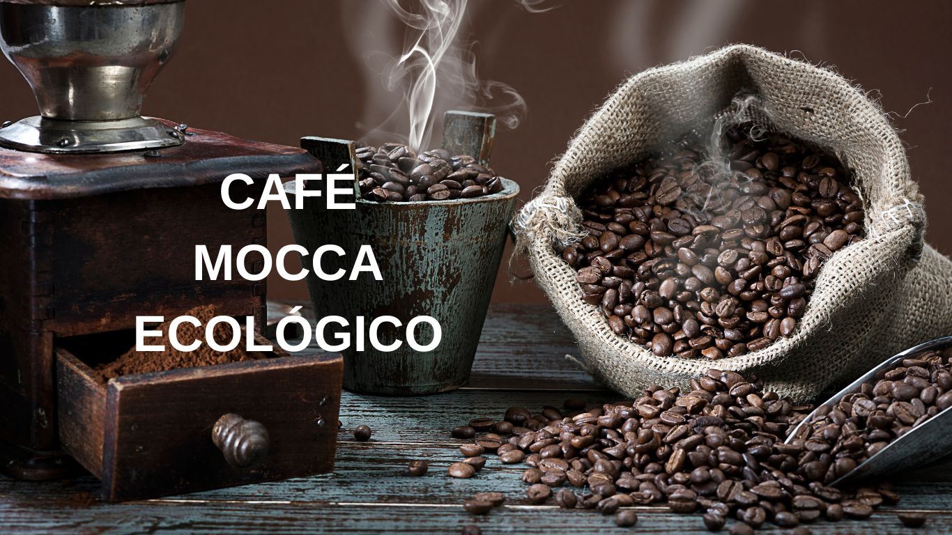 sitio-web-cafe Café Ecológico de Pinale Coffee Shop & Salad Bar